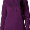 Sweatshirts * | Columbia Women'S Trek Graphic Hoodie Plum/Script Logo