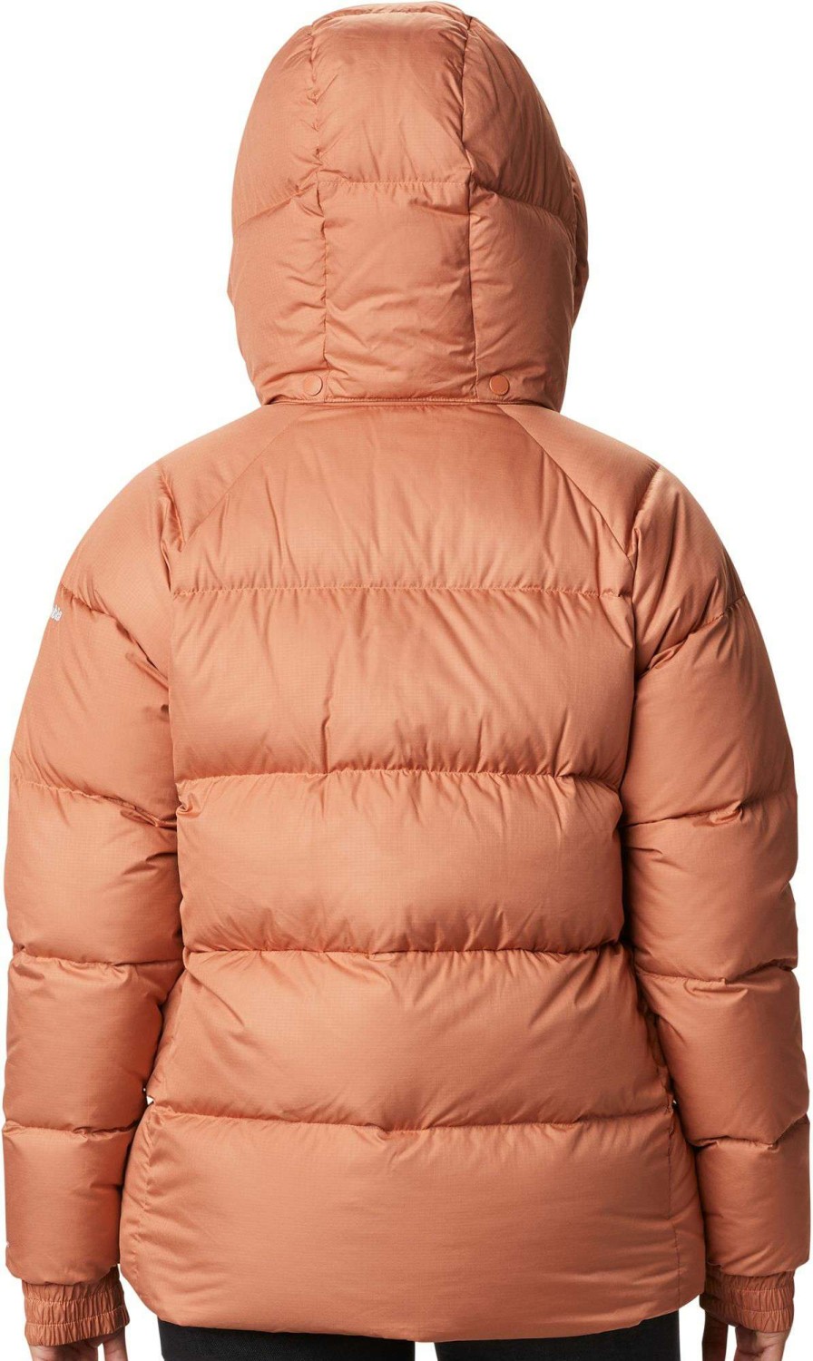 Jackets * | Columbia Women'S Northern Gorge Down Jacket Nova Pink Ripstop