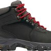 Boots * | Columbia Men'S Newton Ridge Plus Ii Waterproof Hiking Shoes